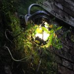 最新tvbox版官方下载:畅享高清影视体验 44ks31giyf