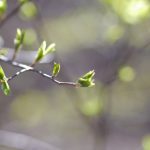 探讨TikTok是否是年轻一代(Zoomer)的社交媒体首选 dyvz979z0o