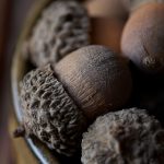 探讨嫩草影院切换路线的多重原因与影响 hzzmp5vcz