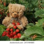 探讨TikTok年龄限制:如何影响青少年用户体验 i3b0thl