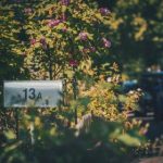 日本动漫在线观看 漫画:畅享最新热门动漫与经典漫画的完美结合 luc7r8