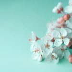 探讨刘志进音乐实验室无法下载的原因及解决方案 xkg6c